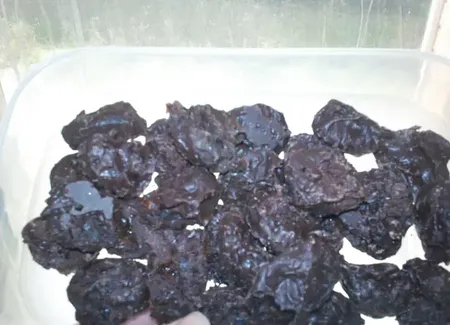 Pruneaux enrobés de chocolat