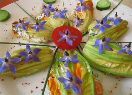 Fleurs de courgettes farcies aux herbes et chèvre frais