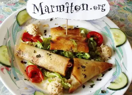 Bricks à la dinde et au riz, parfumés à la mangue et au basilic