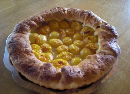 Tarte aux prunes de mes aïeux (pâte brioché)