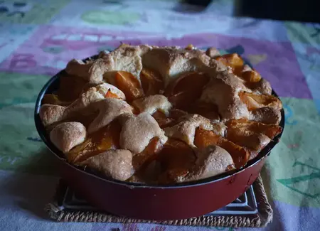 Biscuit léger de juillet