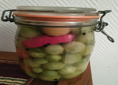 Condiment vinaigré de tomates vertes