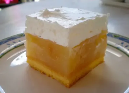 Gâteau bosniaque à la crème de pommes