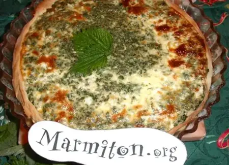 Quiche aux orties
