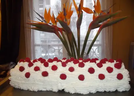 Bûche de noël à la mousse de framboises