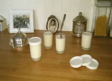 Yaourts au lait de coco