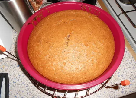 Gâteau au yaourt chocolat vanille