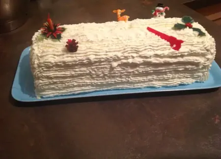 Bûche glacée à la vanille et framboises