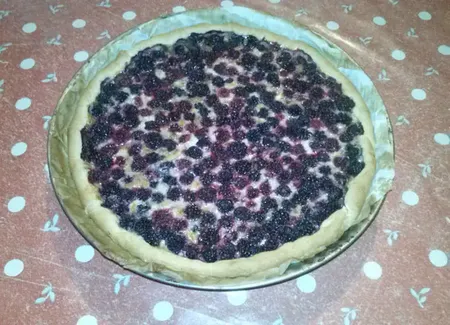 Tarte aux mûres et pain d'épices