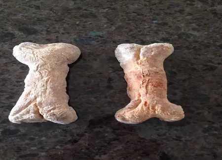 Biscuits pour chiens