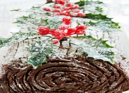 Bûche au chocolat de camila