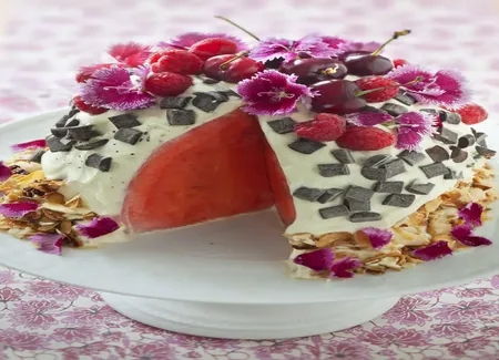Gâteau de pastèque