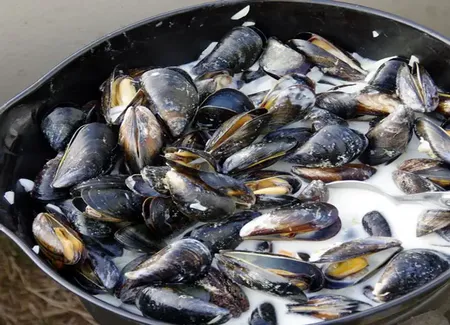 Moules à la crème et au chèvre