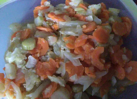 Compotée de fenouil et carottes au gingembre