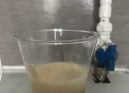 Tiramisu aux biscuits amaretti