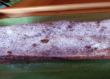 Gâteau au chocolat, amandes & noisettes